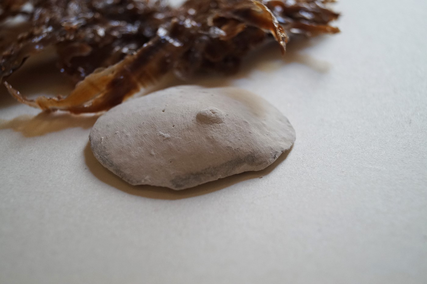 Crepe giovanili (youths cracks) 