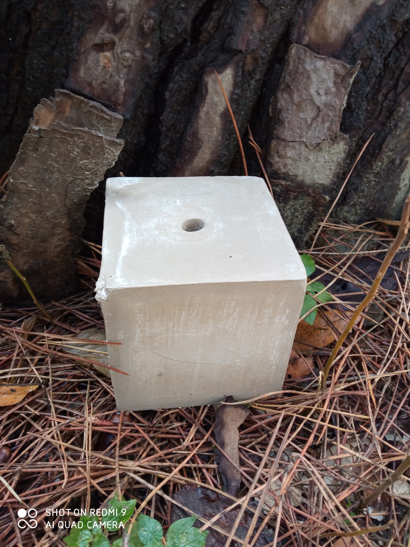 Process blocks 