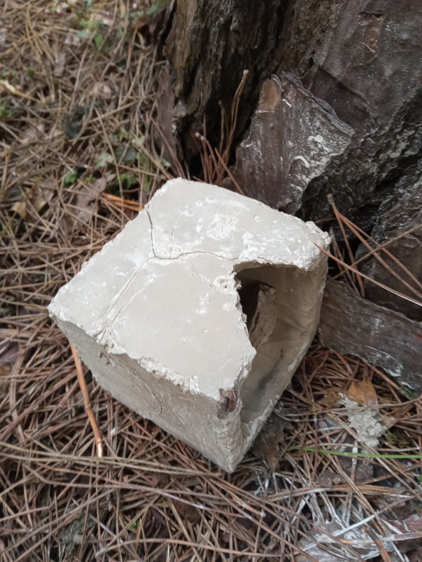 Process blocks 